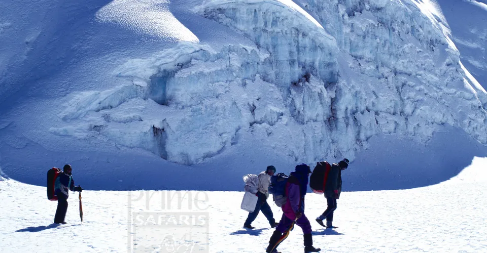 Mount Kilimanjaro hiking trips