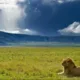 4 Days Safari in Tanzania Tour
