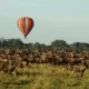 4 Days Tanzania Safari Tour
