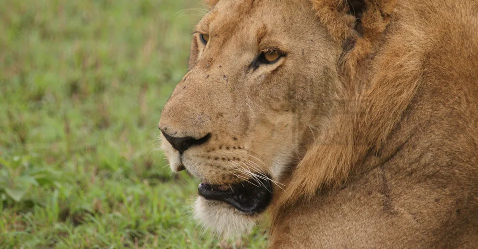 Kidepo Valley National Park