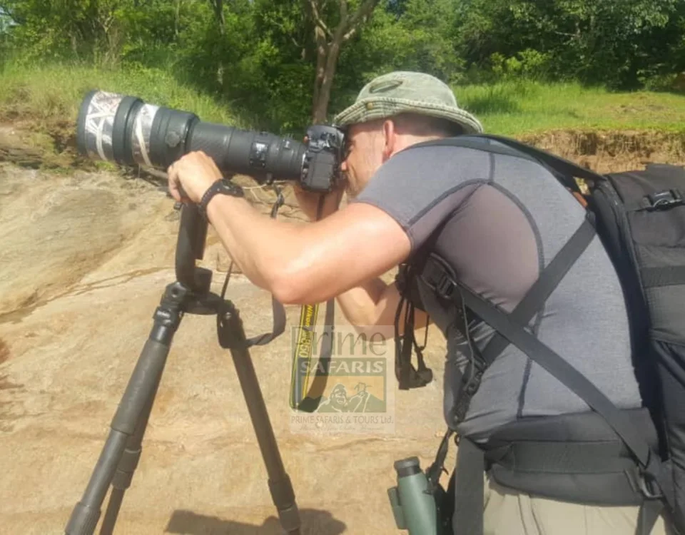 Congo Safaris