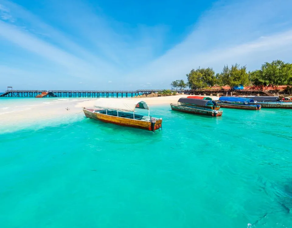 Zanzibar Tours