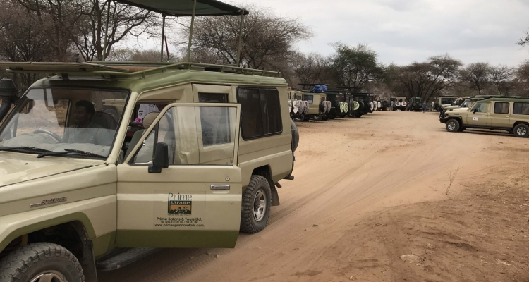 Tanzania Travel Guide