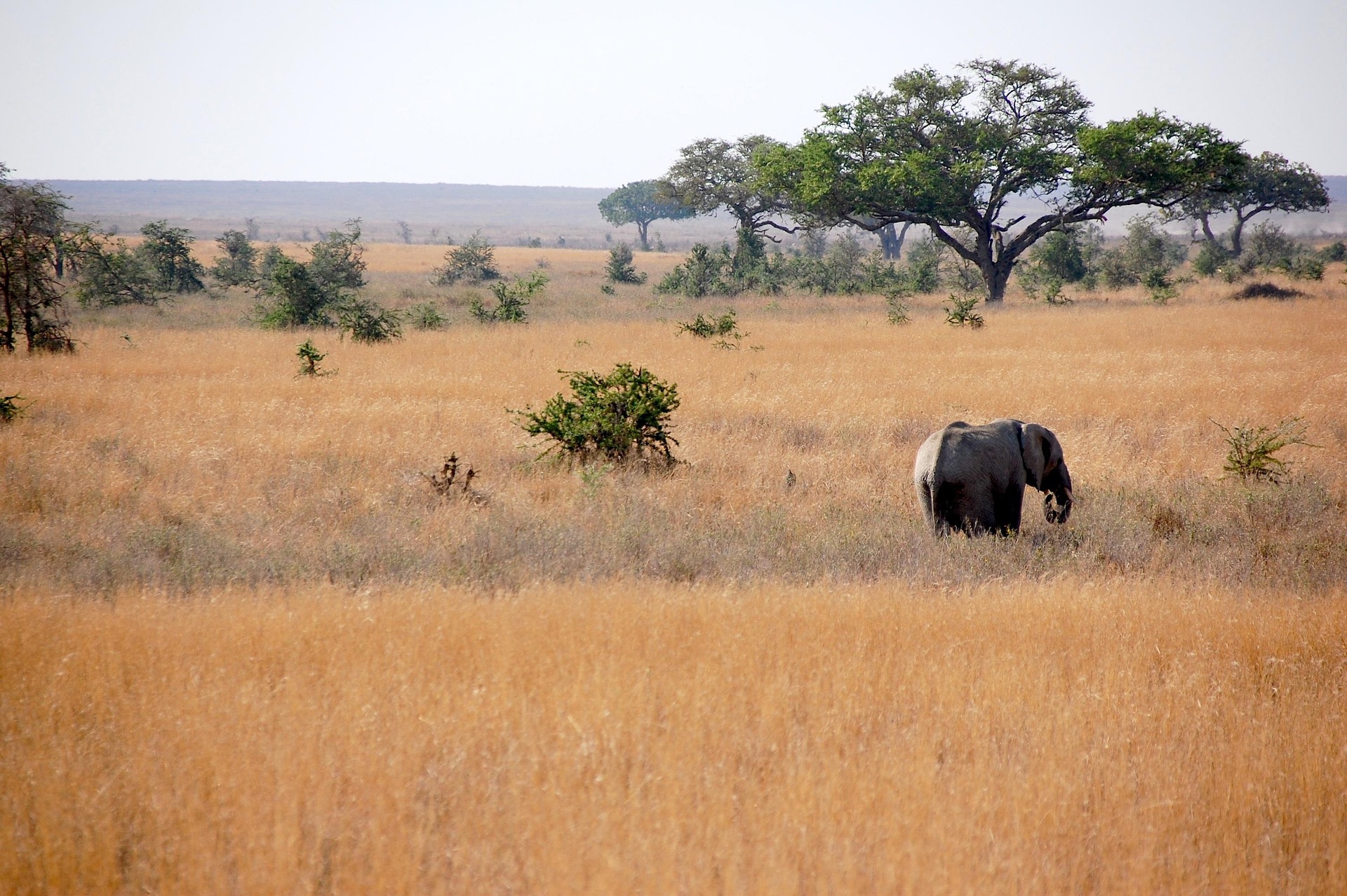 Travel to Tanzania