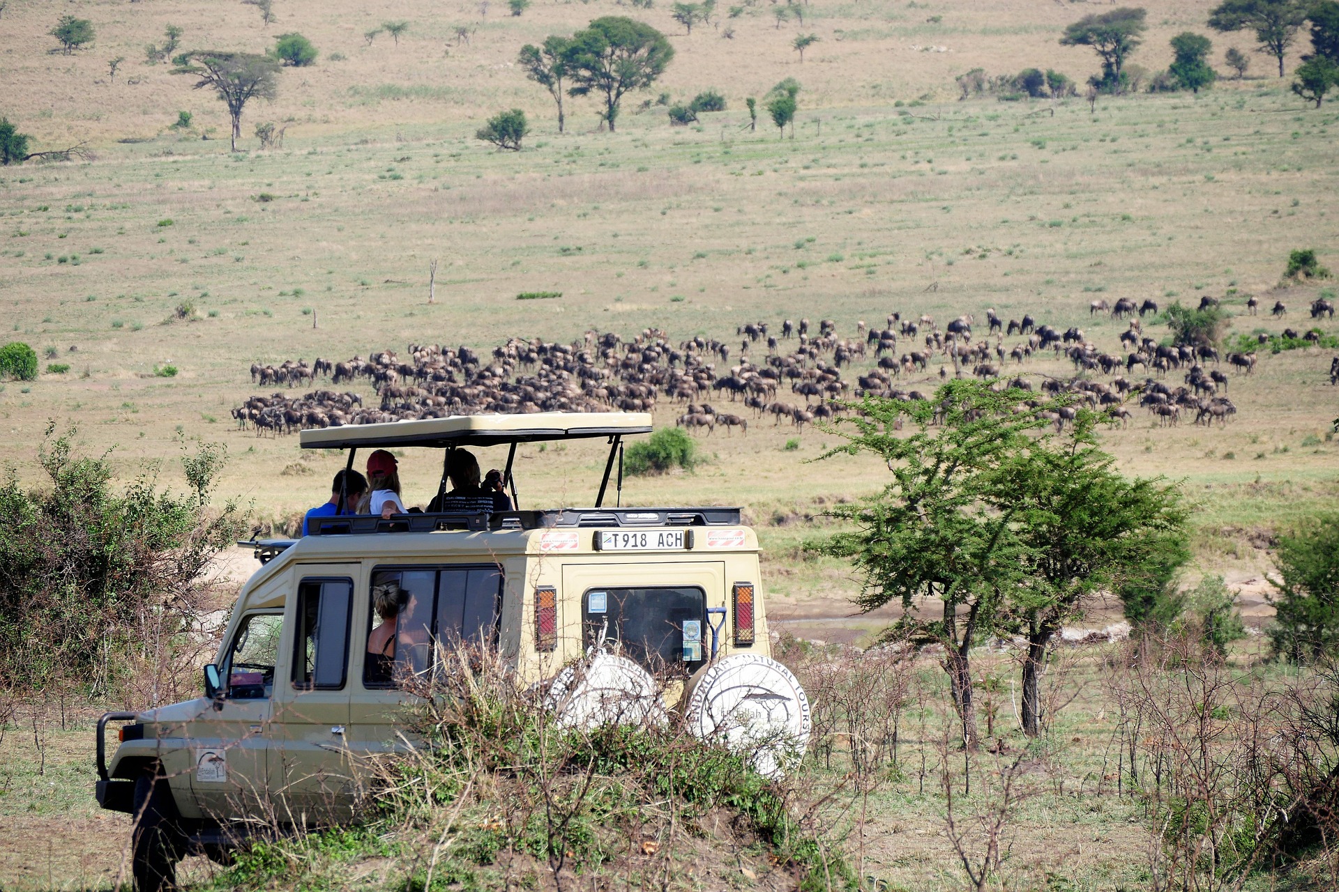 Tourist Activities in Tanzania