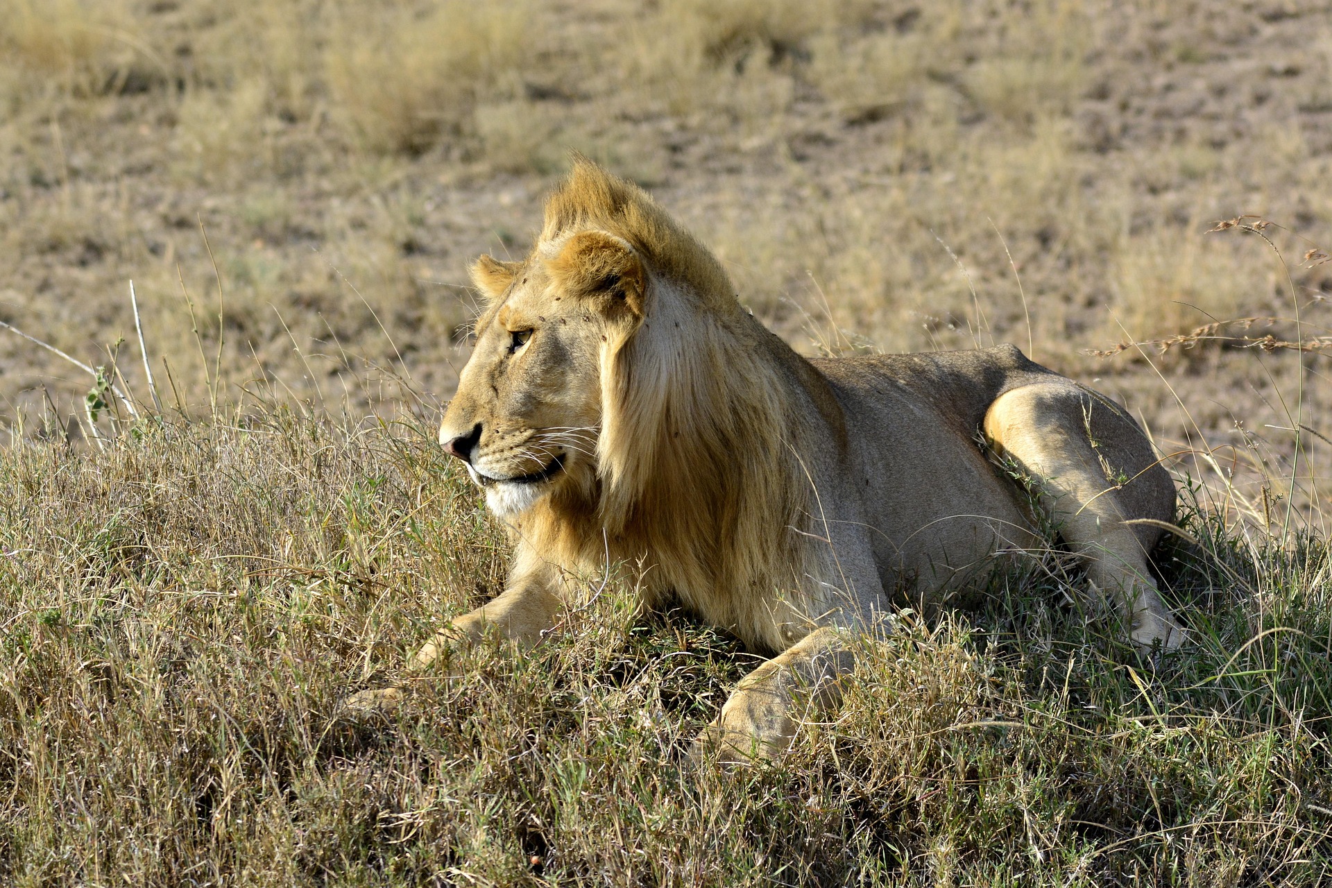 Tourist Activities in Tanzania