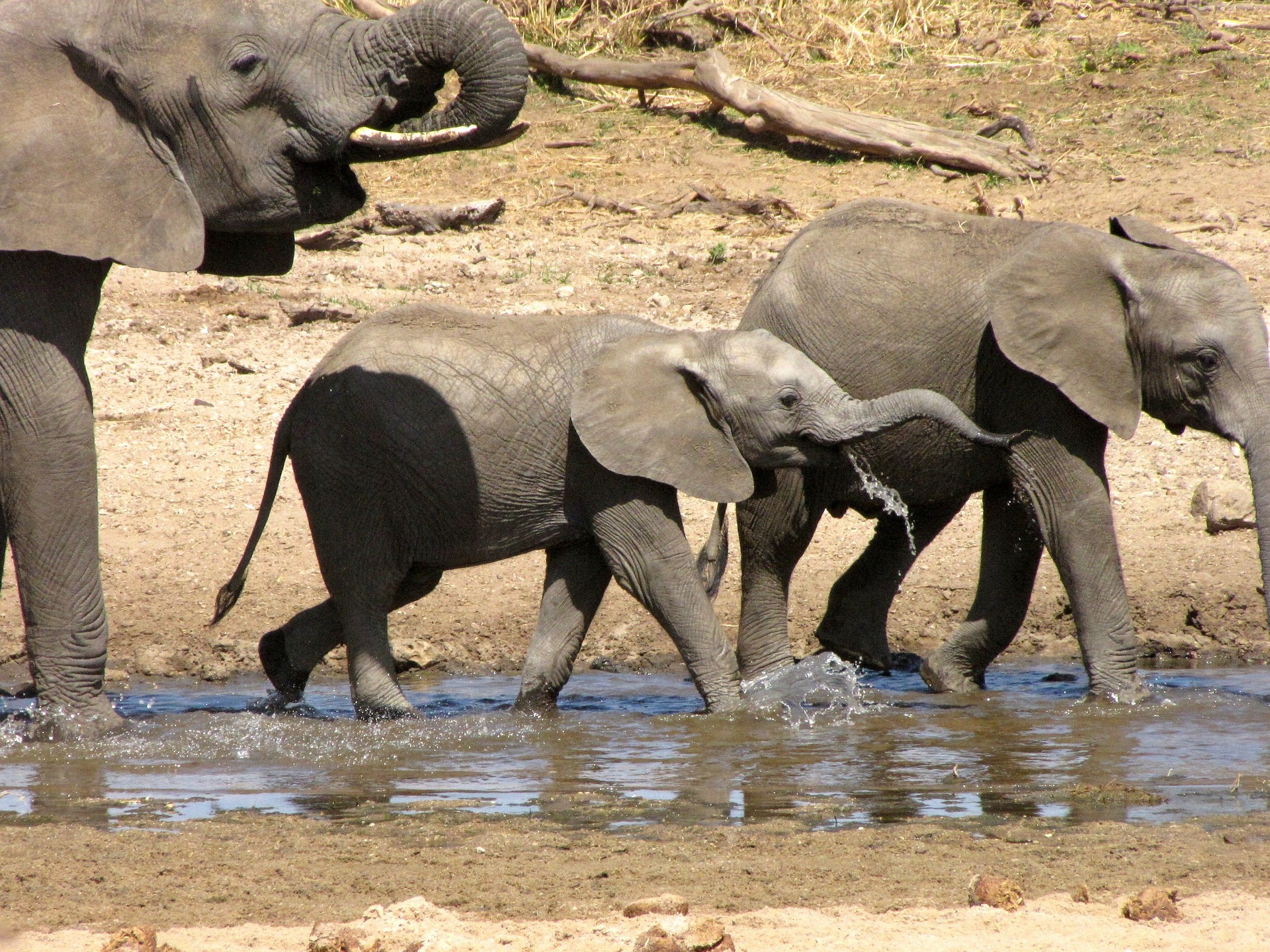 Tanzania Landscapes
