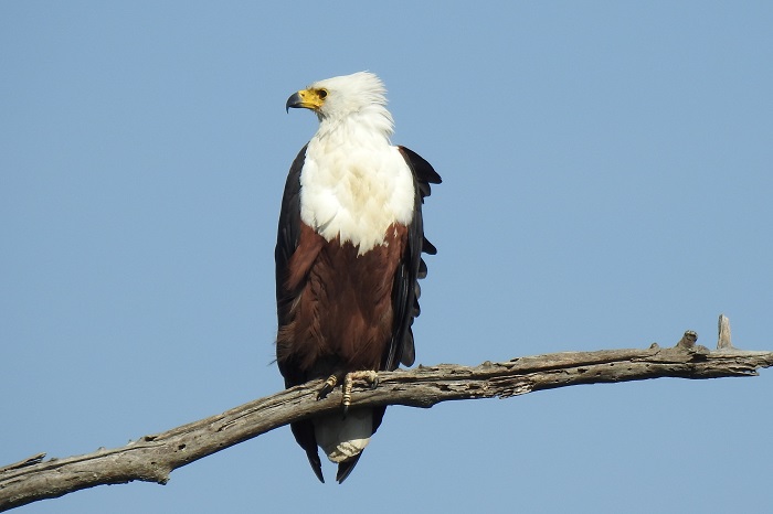 Arusha National Park Tanzania